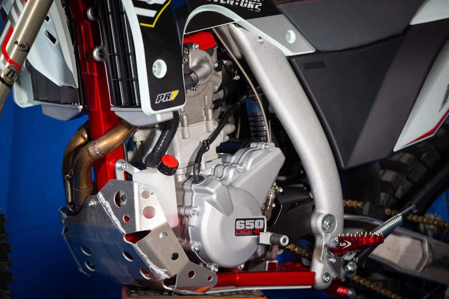 越前リョーマ　P2018PR PR7 - 2025 — AJP USA